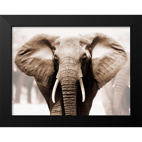 African Elephant Black Modern Wood Framed Art Print by Anonymous