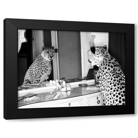 Cheetah looking in mirror Black Modern Wood Framed Art Print with Double Matting by Rian, Emma