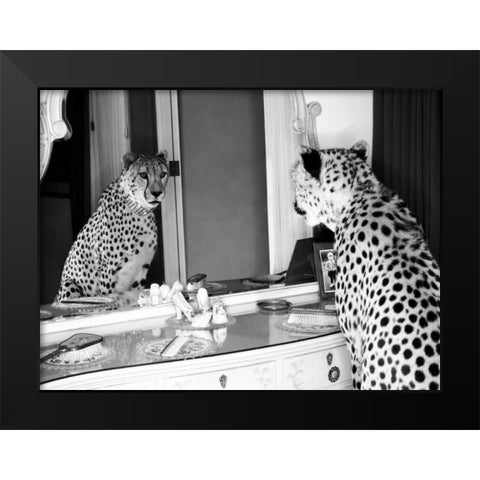 Cheetah looking in mirror Black Modern Wood Framed Art Print by Rian, Emma