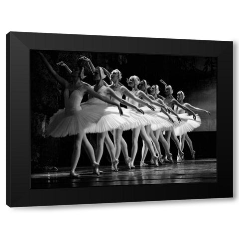 Swan Lake ballet Black Modern Wood Framed Art Print with Double Matting by Anonymous