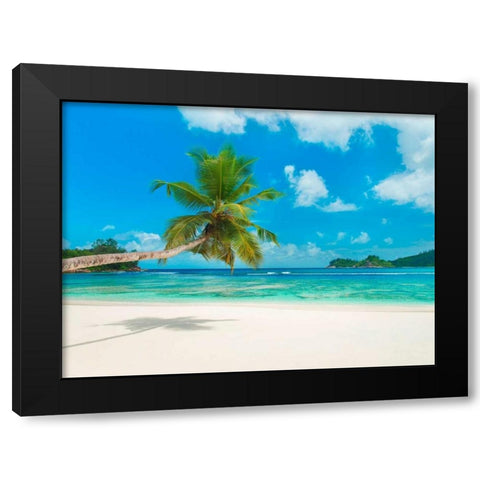 Tropical beach, Seychelles (detail) Black Modern Wood Framed Art Print by Anonymous