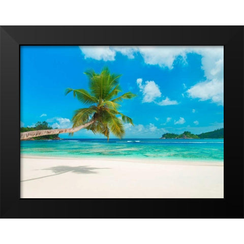 Tropical beach, Seychelles (detail) Black Modern Wood Framed Art Print by Anonymous