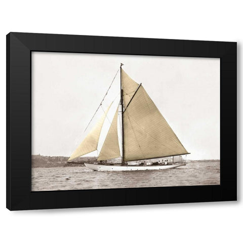 Yacht on Sydney Harbour Black Modern Wood Framed Art Print by Anonymous