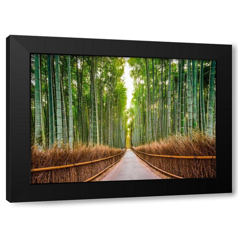 Bamboo Forest- Kyoto- Japan Black Modern Wood Framed Art Print by Pangea Images