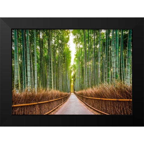 Bamboo Forest- Kyoto- Japan Black Modern Wood Framed Art Print by Pangea Images