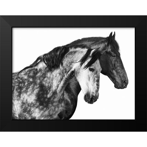 Together Black Modern Wood Framed Art Print by Pangea Images