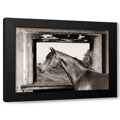 Arab King (BW) Black Modern Wood Framed Art Print with Double Matting by Lauren, Julian