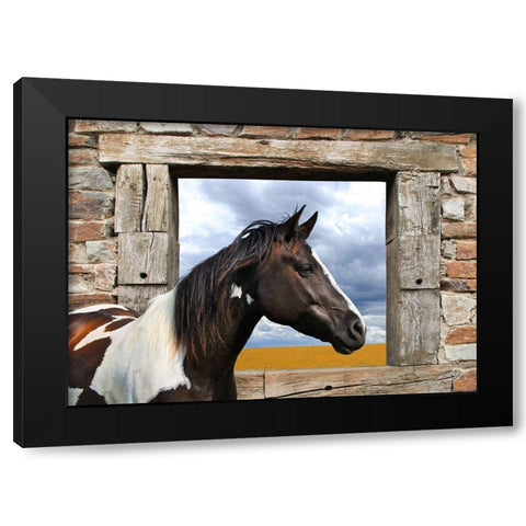 Painted Horse Black Modern Wood Framed Art Print with Double Matting by Lauren, Julian