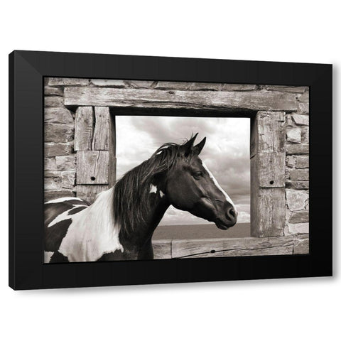 Painted Horse (BW) Black Modern Wood Framed Art Print with Double Matting by Lauren, Julian