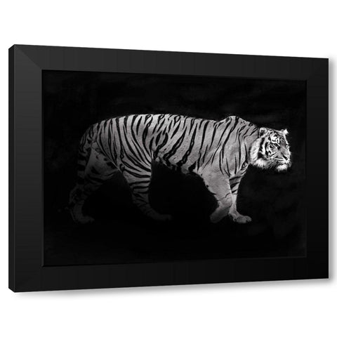 Panthera Tigris Black Modern Wood Framed Art Print by Julian, Lauren