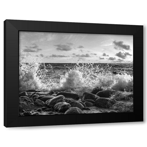 Waves crashing, Point Reyes, California (BW) Black Modern Wood Framed Art Print with Double Matting by Pangea Images