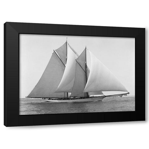 Merlin Black Modern Wood Framed Art Print by Anonymous
