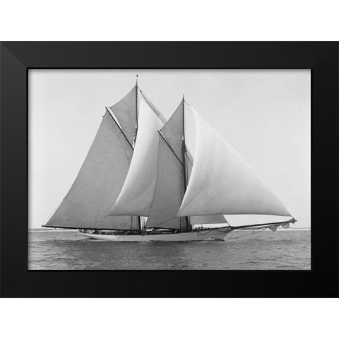 Merlin Black Modern Wood Framed Art Print by Anonymous