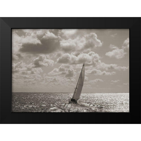 Sailing Black Modern Wood Framed Art Print by Pangea Images