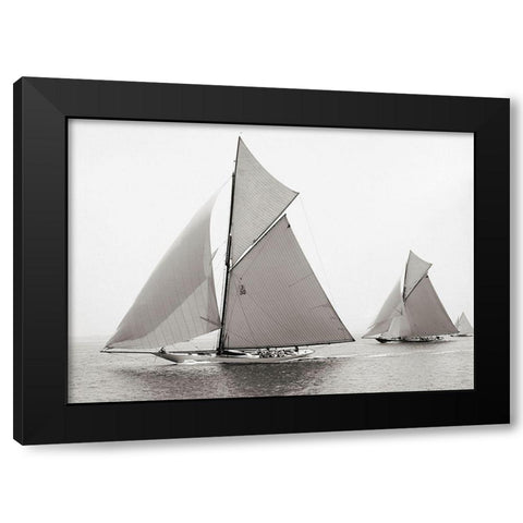 Wasp Black Modern Wood Framed Art Print with Double Matting by Anonymous