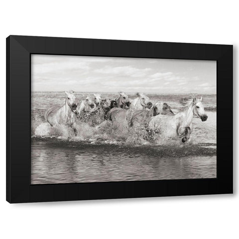 Herd of Horses- Camargue Black Modern Wood Framed Art Print with Double Matting by Pangea Images