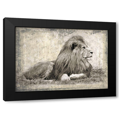 Memories of Africa I Black Modern Wood Framed Art Print with Double Matting by Moureau, Marc