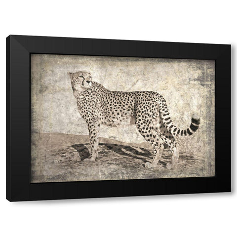 Memories of Africa II Black Modern Wood Framed Art Print with Double Matting by Moureau, Marc