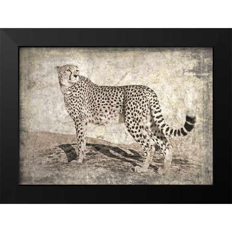 Memories of Africa II Black Modern Wood Framed Art Print by Moureau, Marc