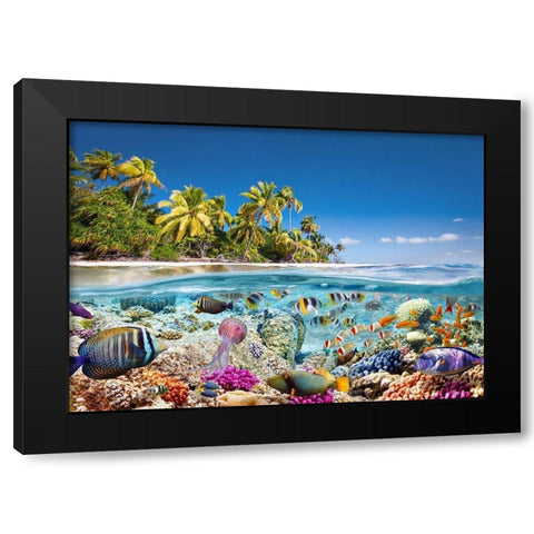 Underwater life Black Modern Wood Framed Art Print by Pangea Images