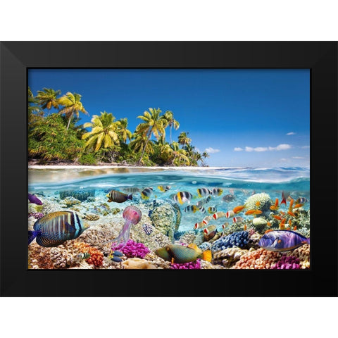 Underwater life Black Modern Wood Framed Art Print by Pangea Images