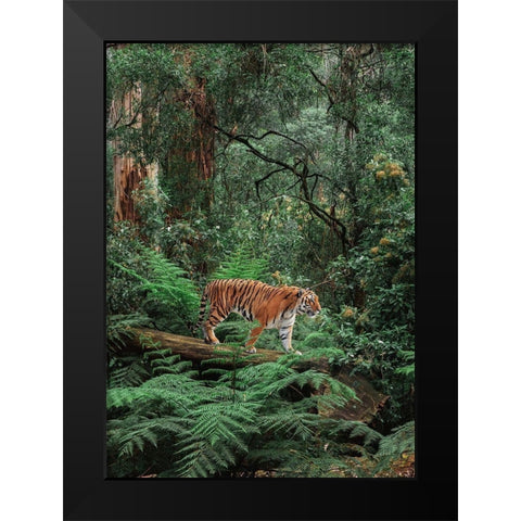In the Jungle Black Modern Wood Framed Art Print by Pangea Images