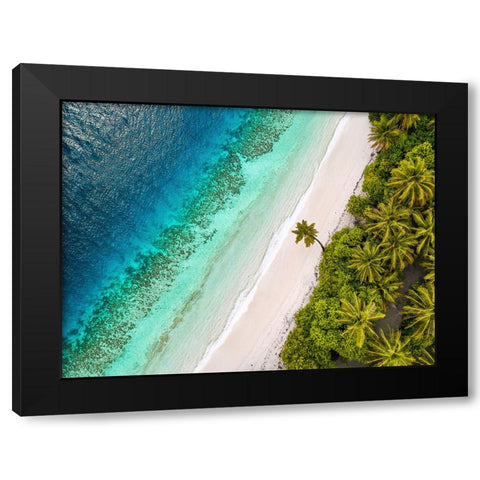 Tropical Beach, Aerial View Black Modern Wood Framed Art Print with Double Matting by Pangea Images
