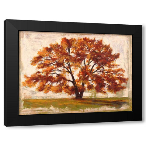 Mattino Black Modern Wood Framed Art Print with Double Matting by Bacci, Leonardo
