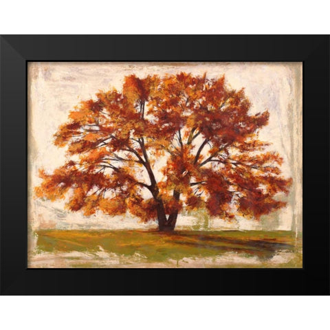 Mattino Black Modern Wood Framed Art Print by Bacci, Leonardo