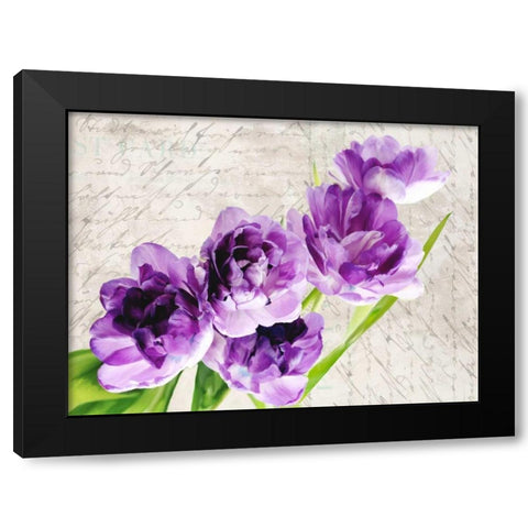 Reverie Black Modern Wood Framed Art Print with Double Matting by Dellal, Remy