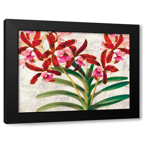 Botanique Moderne I Black Modern Wood Framed Art Print by Dellal, Remy