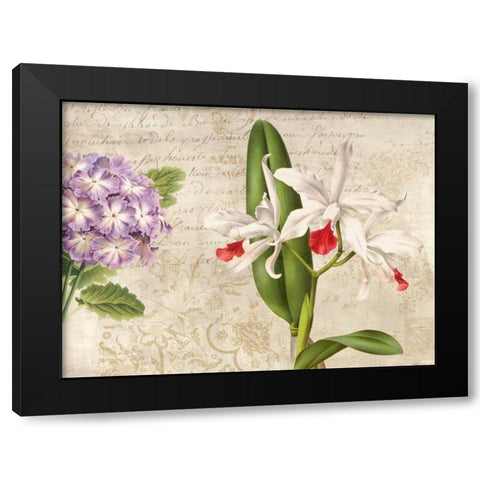 Botanique Moderne III Black Modern Wood Framed Art Print by Dellal, Remy