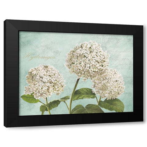 Hydrangeas I (Aqua) Black Modern Wood Framed Art Print with Double Matting by Remy, Dellal