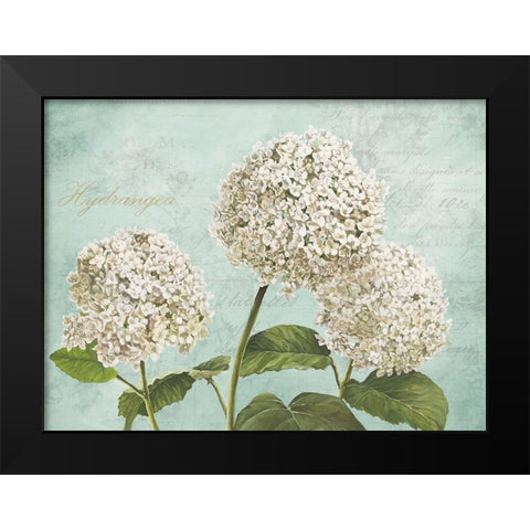 Hydrangeas I (Aqua) Black Modern Wood Framed Art Print by Remy, Dellal