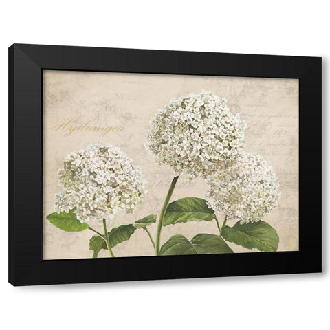 Hydrangeas I (Neutre) Black Modern Wood Framed Art Print by Remy, Dellal