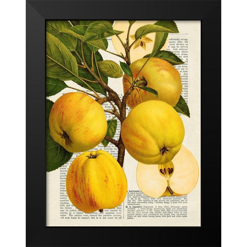 Fruits de saison, Pommes Black Modern Wood Framed Art Print by Dellal, Remy