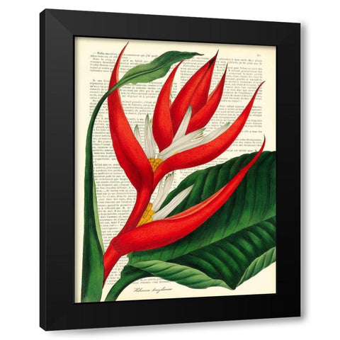 Vintage Botany I Black Modern Wood Framed Art Print with Double Matting by Dellal, Remy