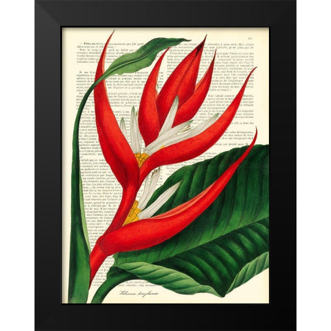 Vintage Botany I Black Modern Wood Framed Art Print by Dellal, Remy