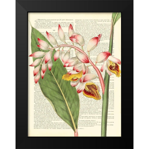 Vintage Botany II Black Modern Wood Framed Art Print by Dellal, Remy