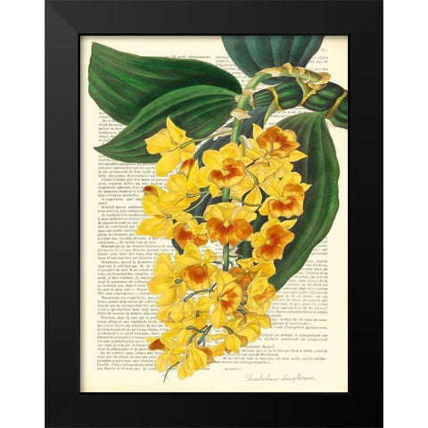 Vintage Botany III Black Modern Wood Framed Art Print by Dellal, Remy