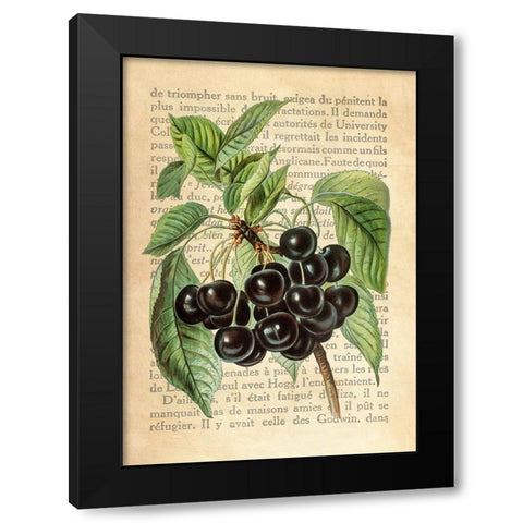Cherries- After J. Wright Black Modern Wood Framed Art Print by Dellal, Remy