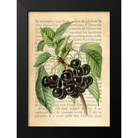 Cherries- After J. Wright Black Modern Wood Framed Art Print by Dellal, Remy