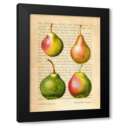 Pears- After Redoute Black Modern Wood Framed Art Print by Dellal, Remy