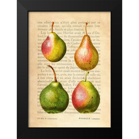 Pears- After Redoute Black Modern Wood Framed Art Print by Dellal, Remy