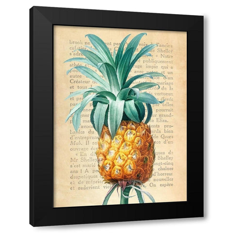 Pineapple- After Redoute Black Modern Wood Framed Art Print with Double Matting by Dellal, Remy