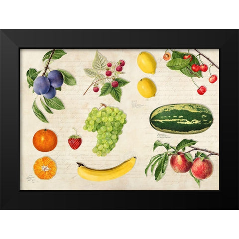 Fruits du Monde Black Modern Wood Framed Art Print by Dellal, Remy
