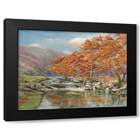 Ruscello silvestre Black Modern Wood Framed Art Print by Cerana, Francesco