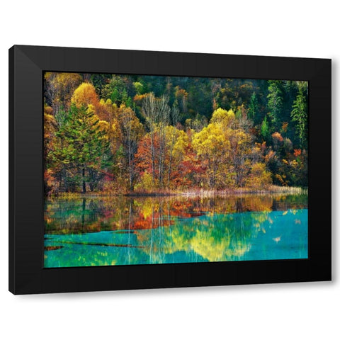 Forest in autumn colours, Sichuan, China Black Modern Wood Framed Art Print with Double Matting by Krahmer, Frank