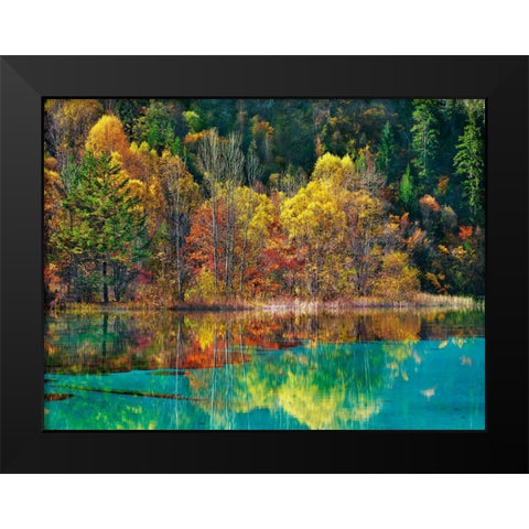 Forest in autumn colours, Sichuan, China Black Modern Wood Framed Art Print by Krahmer, Frank