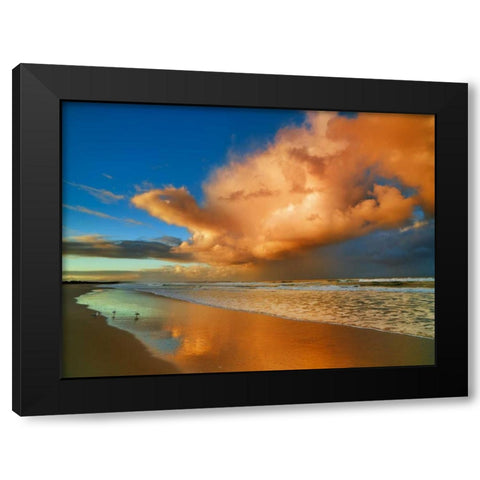 Sunset on the ocean, New South Wales, Australia Black Modern Wood Framed Art Print by Krahmer, Frank